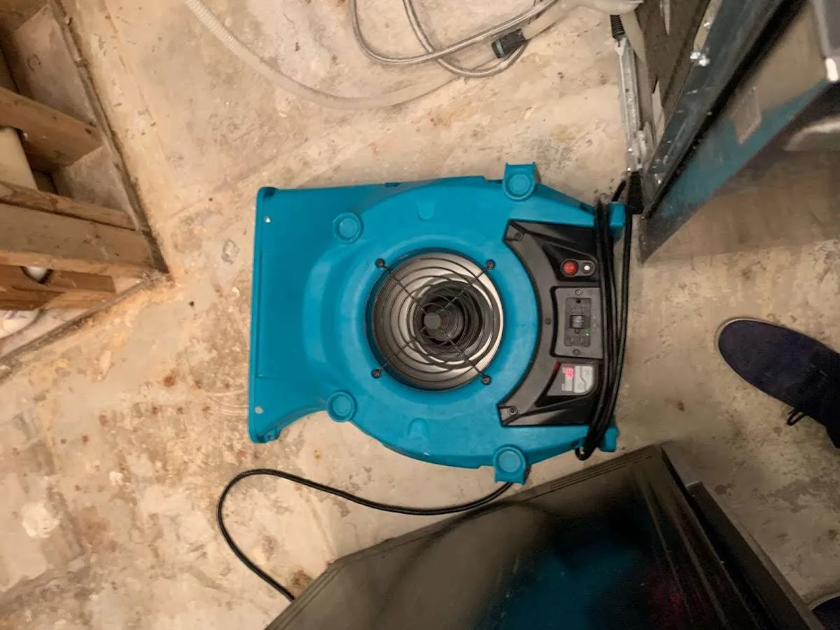 Air mover drying equipment for Mold Remediation & Removal in Pueblo